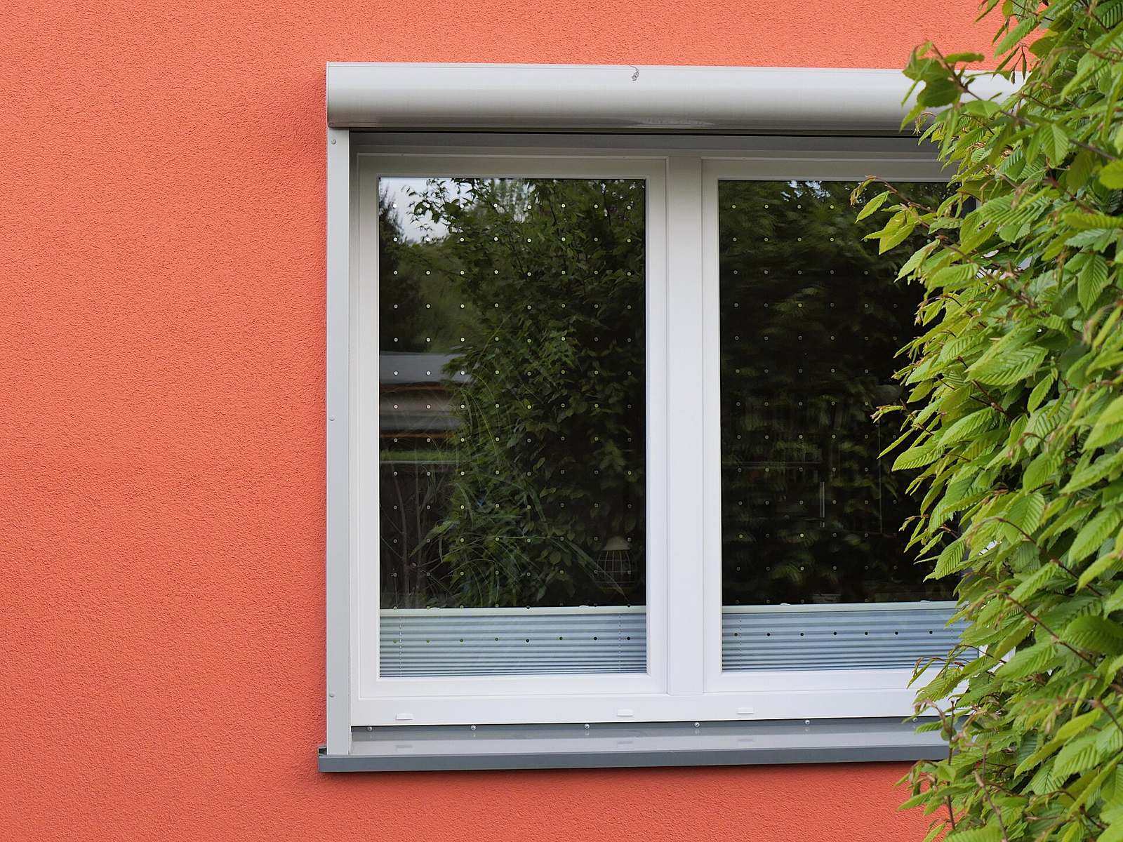 Wit raam met rolluikkast in een oranje gepleisterde gevel, waarin de tuin weerspiegelt naast een groene struik